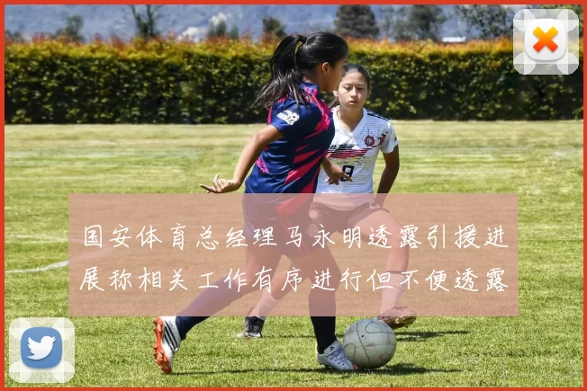 国安体育总经理马永明透露引援进展称相关工作有序进行但不便透露名字